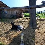 Bio-peisingerhof *