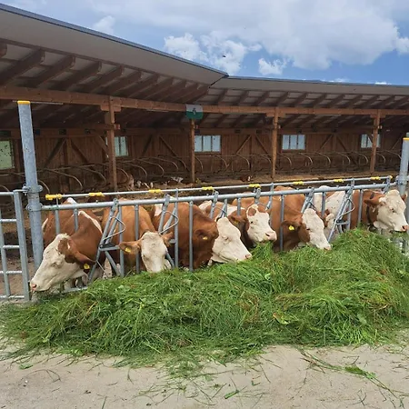 Bio-peisingerhof * Sankt Stefan ob Leoben