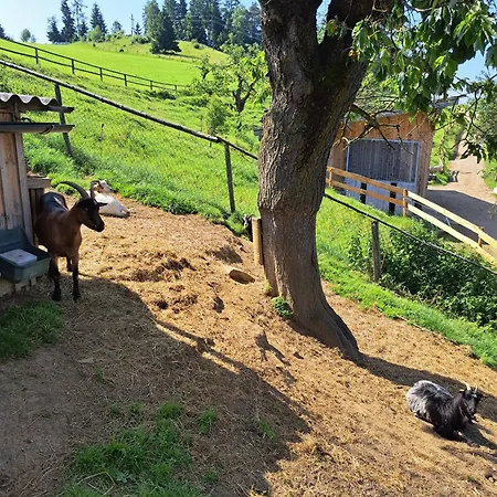 Apartment Bio-peisingerhof Sankt Stefan ob Leoben