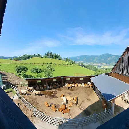 Appartamento Bio-peisingerhof