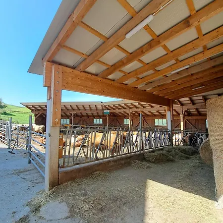 Appartamento Bio-peisingerhof Sankt Stefan ob Leoben