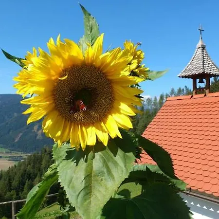 Bio-peisingerhof Apartamento Sankt Stefan ob Leoben