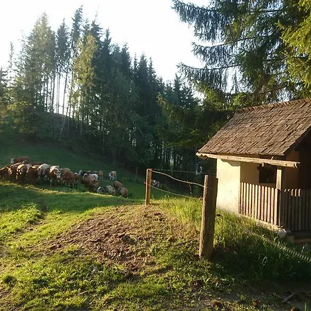 Bio-peisingerhof Appartamento