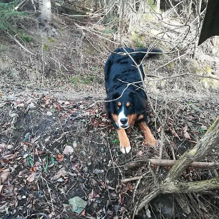 Bio-peisingerhof Apartamento