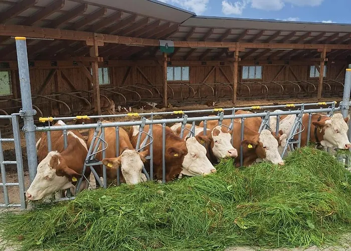 Bio-peisingerhof * Sankt Stefan ob Leoben