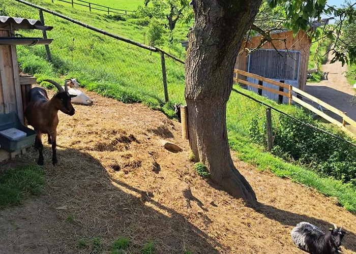 Apartman Bio-peisingerhof Sankt Stefan ob Leoben