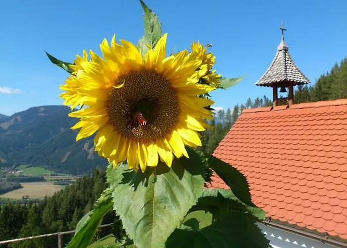 Bio-peisingerhof Apartman Sankt Stefan ob Leoben