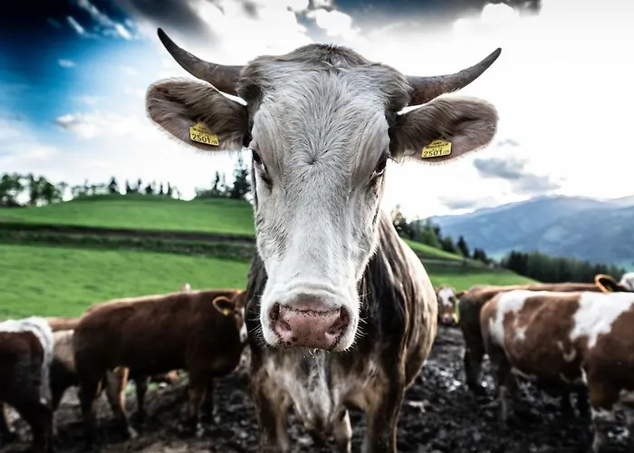 Bio-peisingerhof Апартаменты *